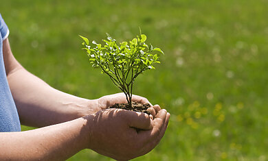 Actualité Protéger et préserver l’environnement avec Reforest’Action