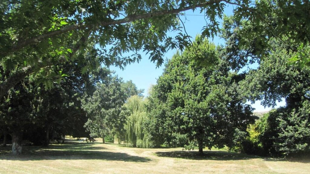 parc-de-boare-vezin-le-coquet