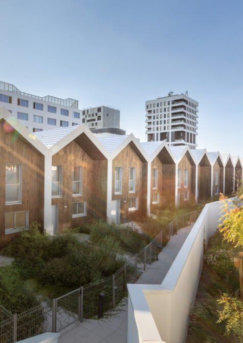 Conseil Immobilier LLI et Jeanbrun : peut-on cumuler les deux dispositifs ?