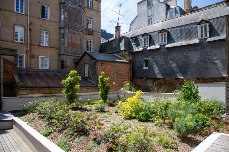 Résidence Passerelle St Germain à Rennes, Bati Armor