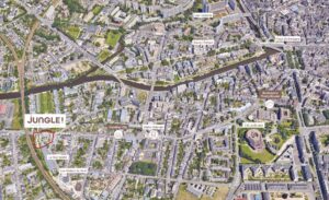 vue-google-earth-jungle