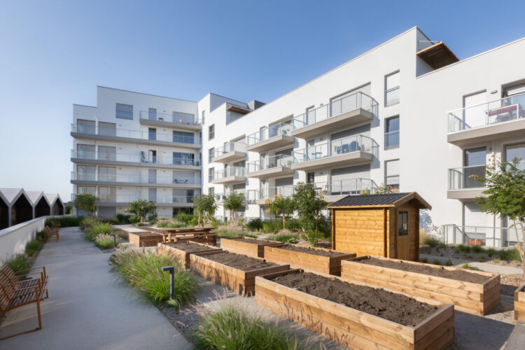 Potager de la résidence L'oasis